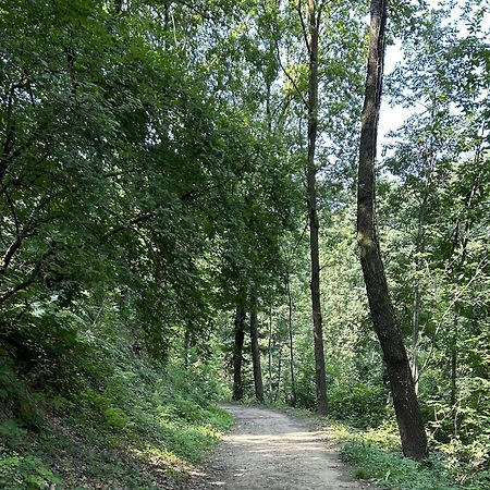 Il Giardino Di Berbech Citta Alta - Castagno Daire Bergamo Dış mekan fotoğraf