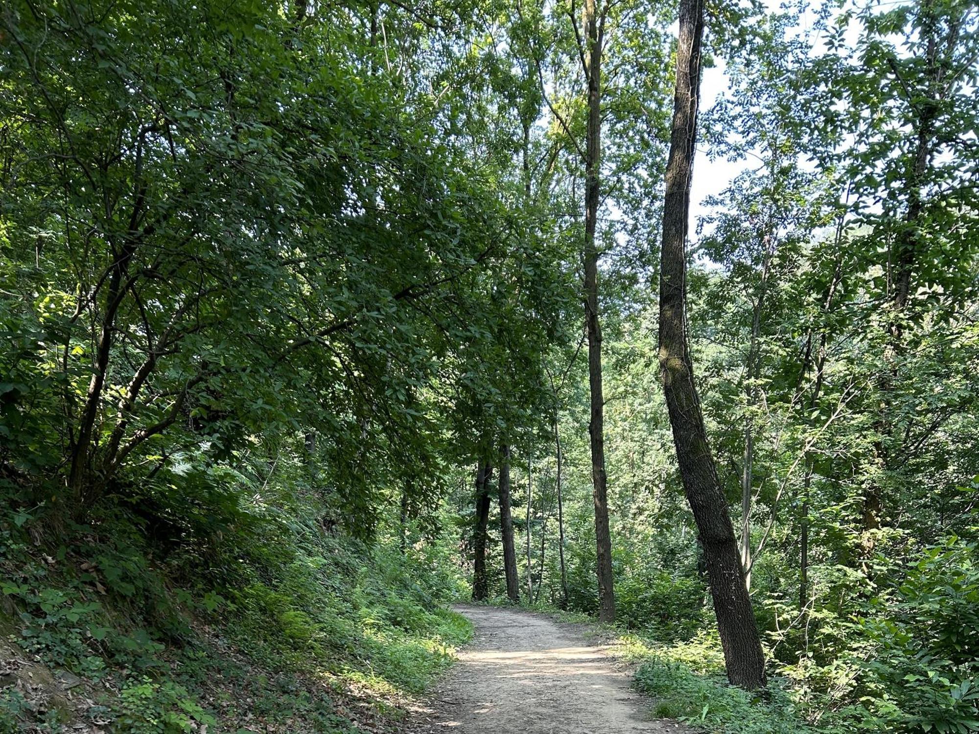 Il Giardino Di Berbech Citta Alta - Castagno Daire Bergamo Dış mekan fotoğraf